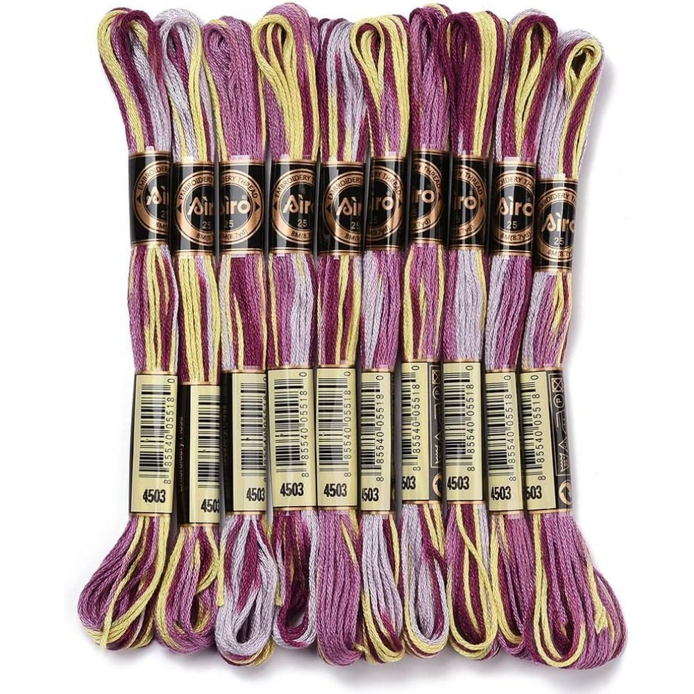 Embroidery Gift - Fil à broder panaché violet, 6
