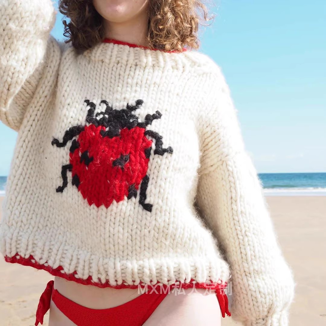 Embroidery Lady Bug - Pull en laine Pure à motif
