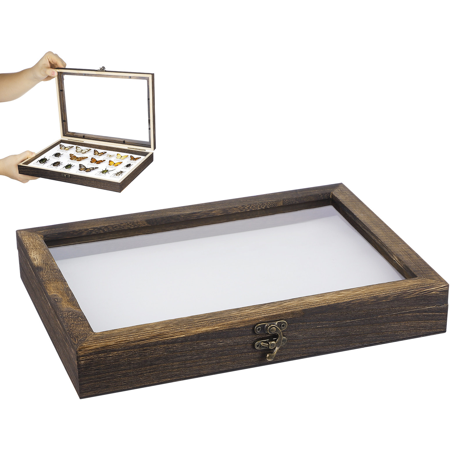 1 ensemble de vitrine pour spé - Frame Display Wood avis et prix