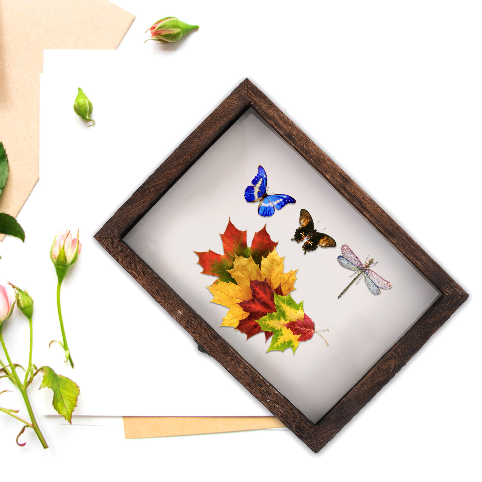 1 ensemble de vitrine pour spé - Frame Display Wood avis et prix