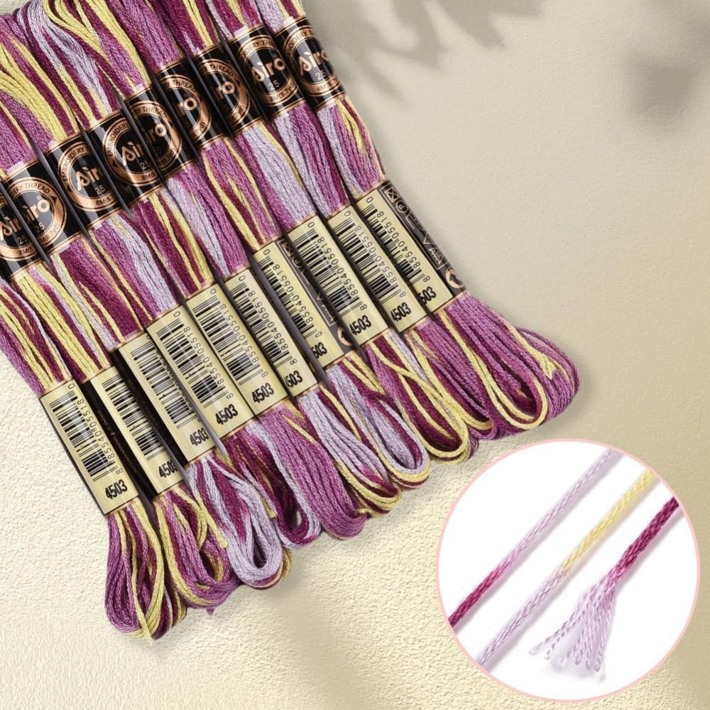Fil à broder panaché violet, 6 - Embroidery Gift avis et prix