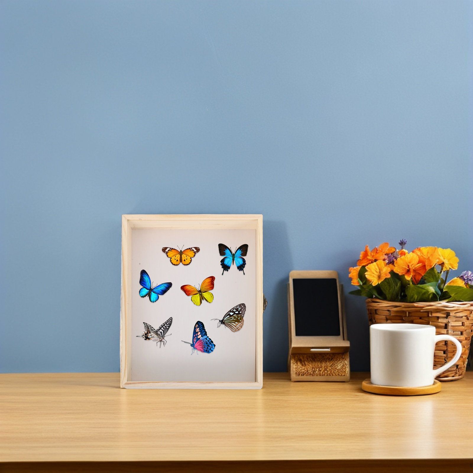 Boîte de présentation d'insect - Frame Display Wood avis et prix